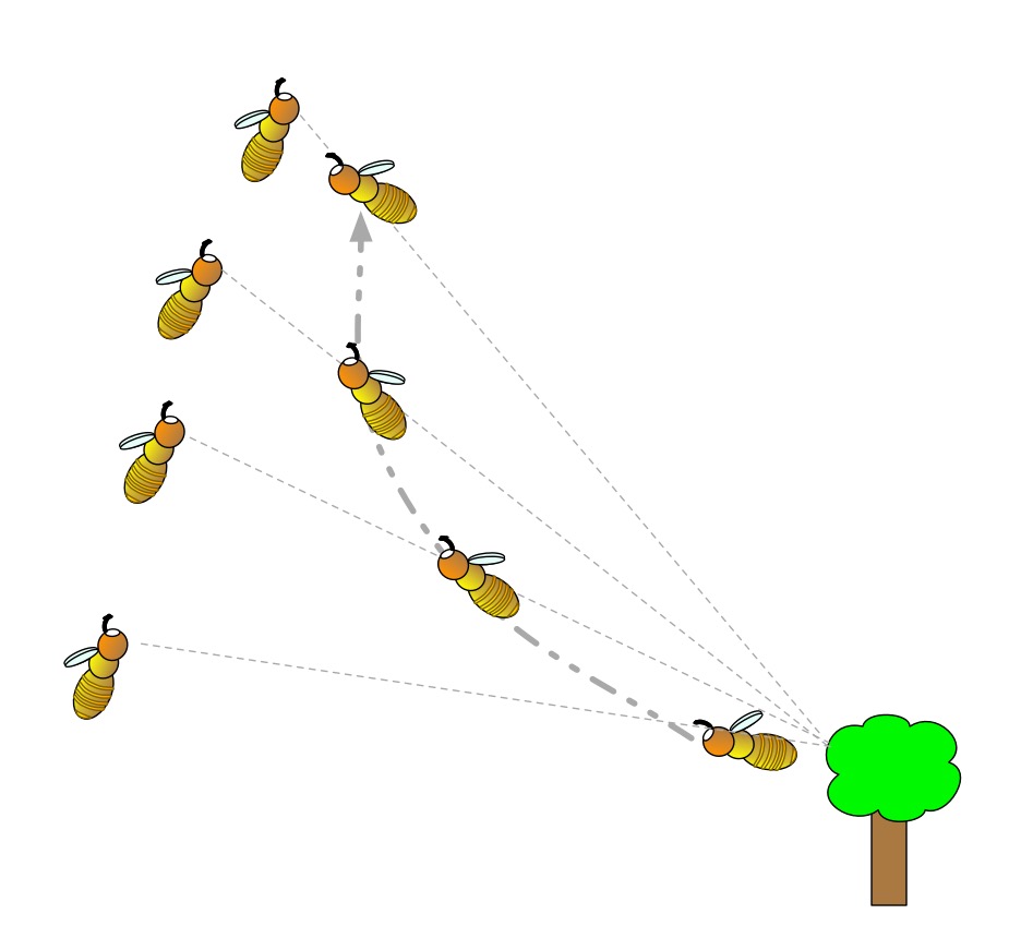 Tracking the motion of a hoverfly and its sightlines