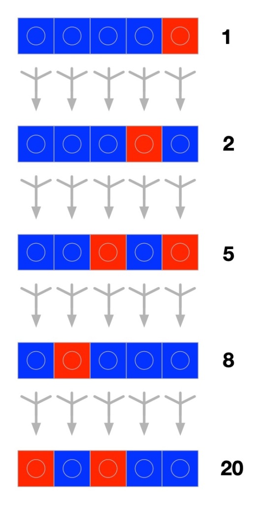 The series of transformations through binary patterns from applying the rules.
