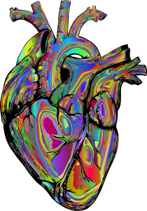 Colourful depiction of a human heart